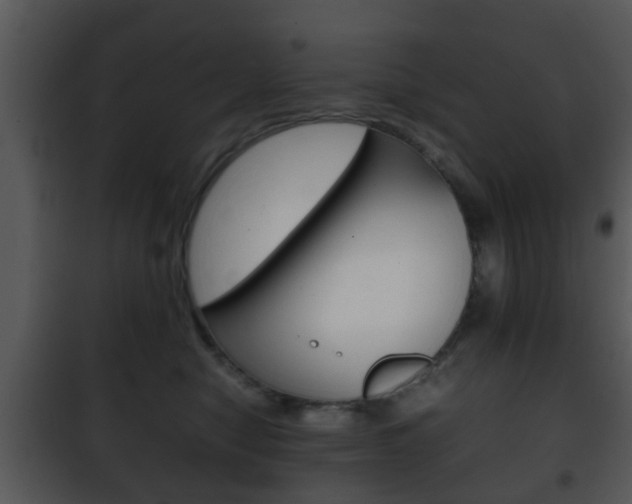 X0000101960470200807180707