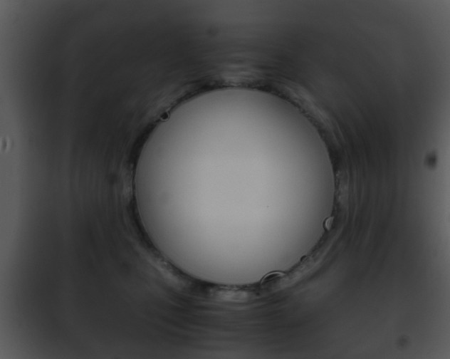 X0000101960471200807180707