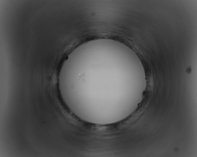 X0000101960472200807180707