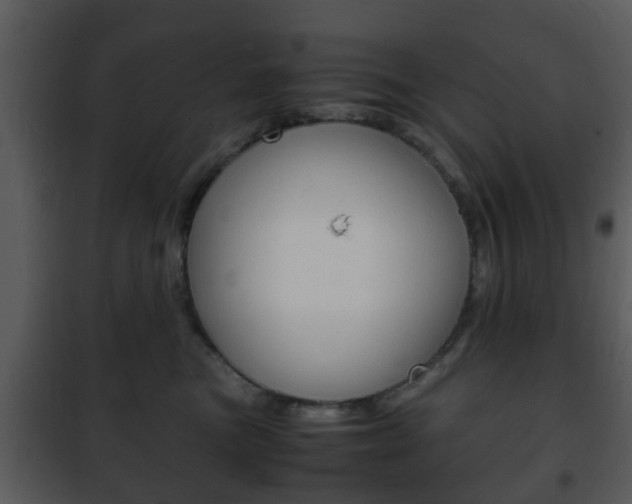 X0000101960473200807180707