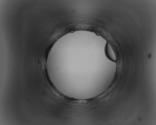 X0000101960474200807180707