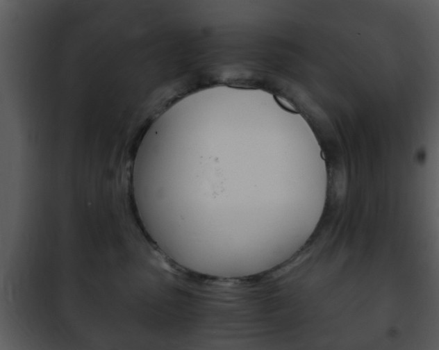 X0000101960475200807180707