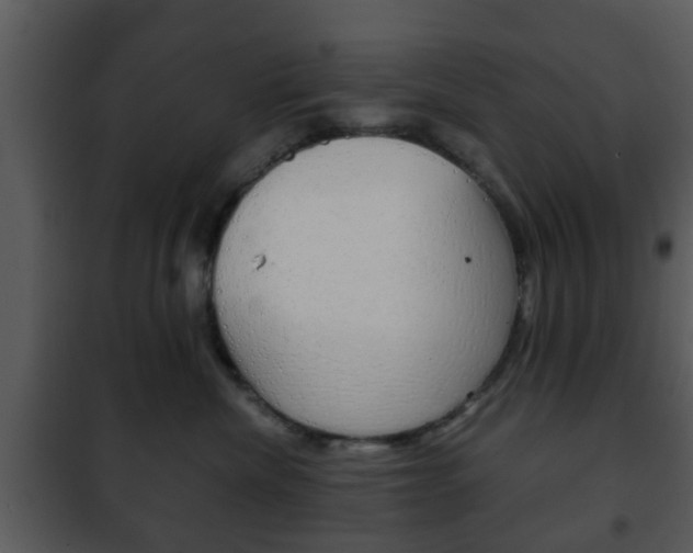 X0000101960476200807180707