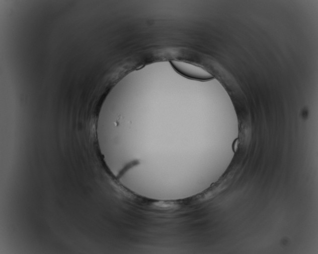 X0000101960477200807180707