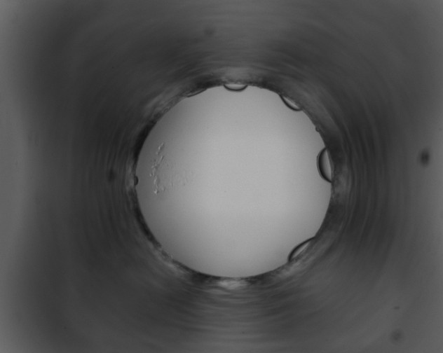X0000101960478200807180707