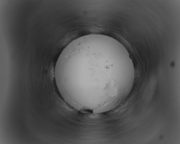 X0000101960479200807180707