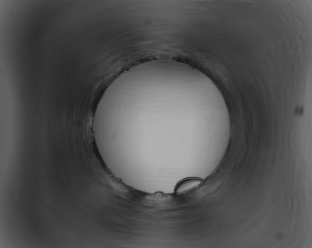 X0000101960480200807180707