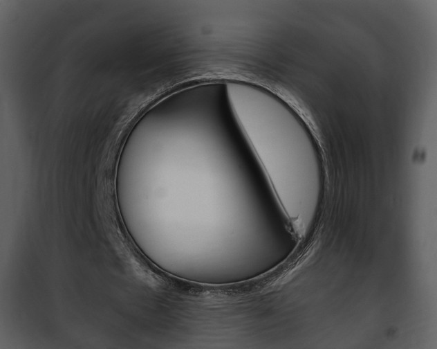 X0000101960481200807180706