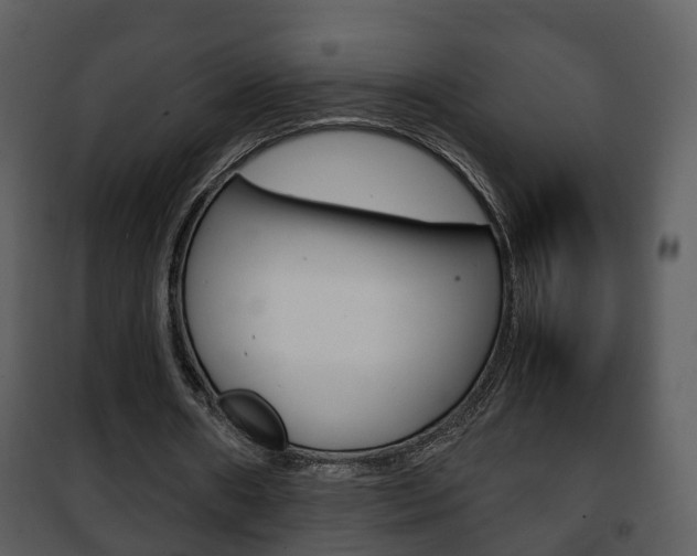X0000101960482200807180706