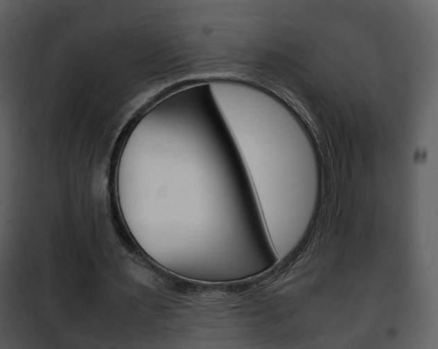 X0000101960483200807180706