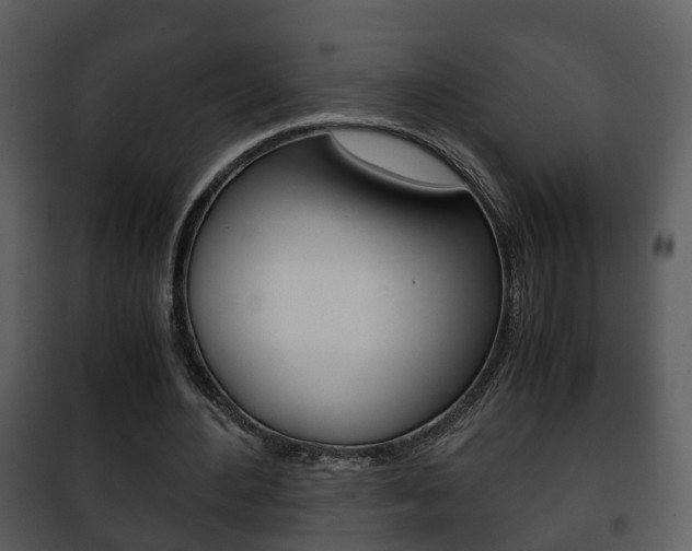 X0000101960484200807180706