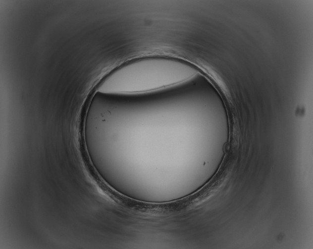 X0000101960485200807180706