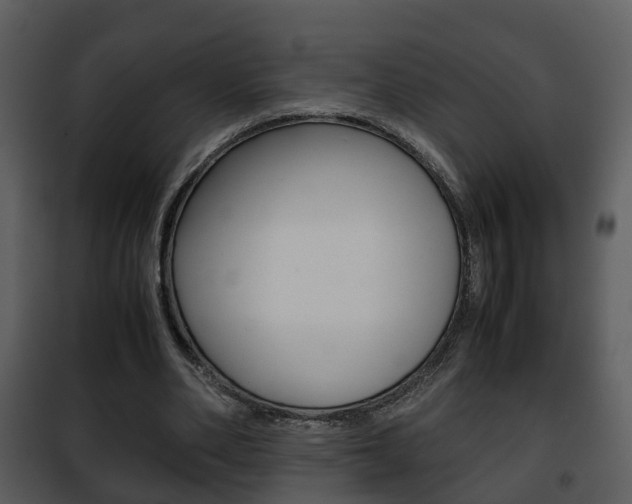 X0000101960486200807180706