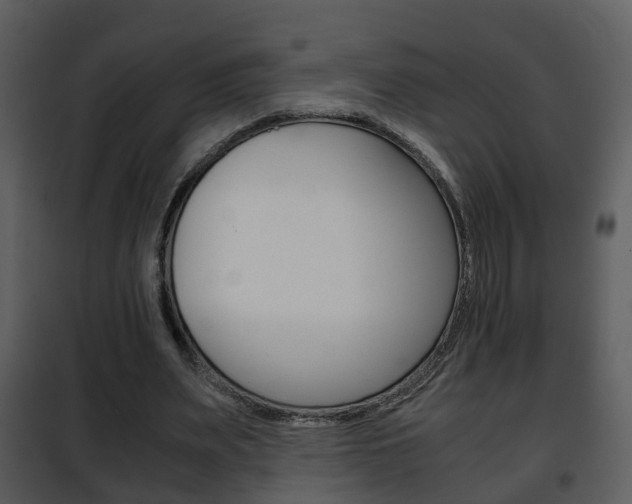 X0000101960487200807180706