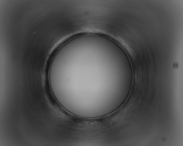 X0000101960488200807180706