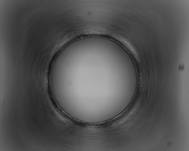 X0000101960489200807180706