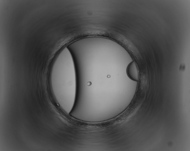X0000101960490200807180706