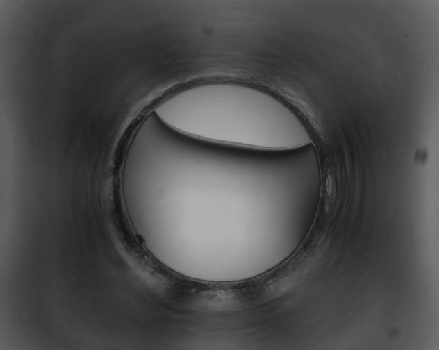 X0000101960492200807180706