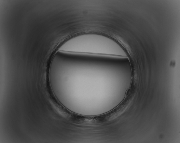 X0000101960493200807180706