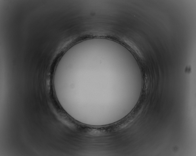 X0000101960494200807180706