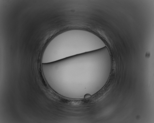 X0000101960495200807180706