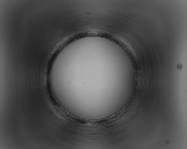 X0000101960496200807180706