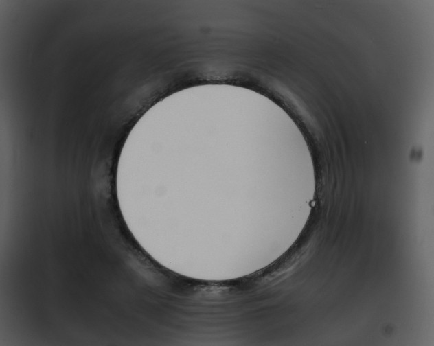 X0000101960497200807180706