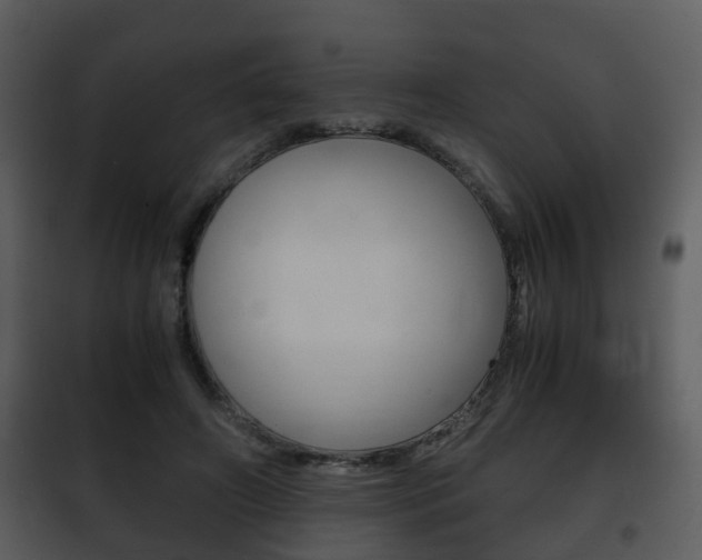 X0000101960498200807180706
