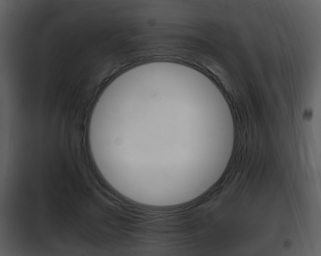 X0000101960499200807180706