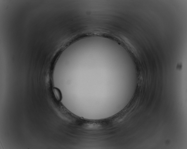 X0000101960500200807180706