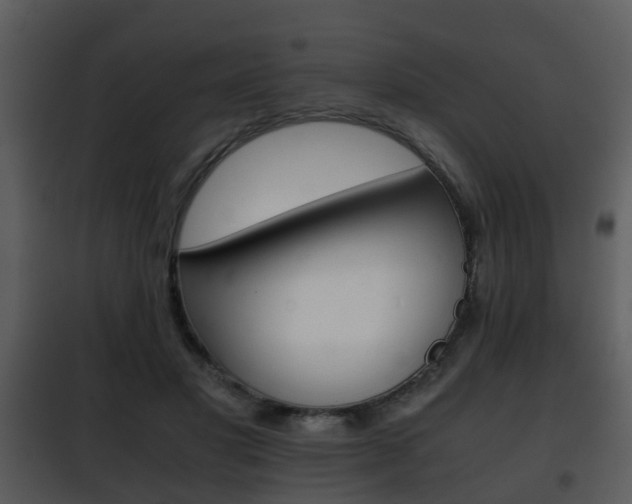 X0000101960501200807180706