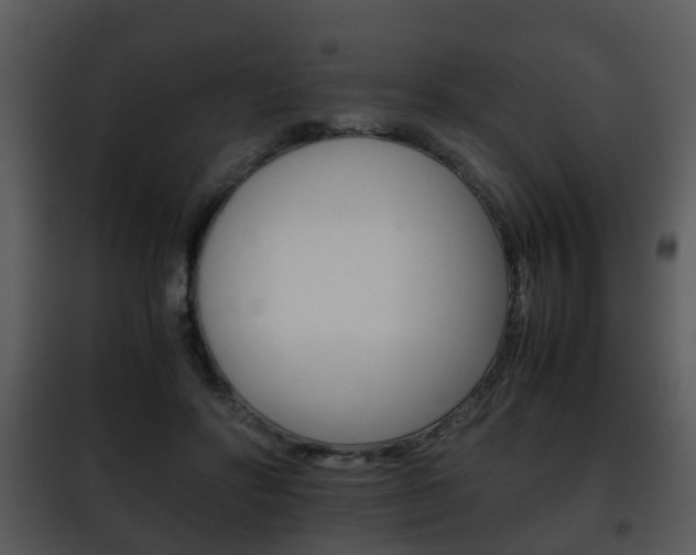 X0000101960502200807180706