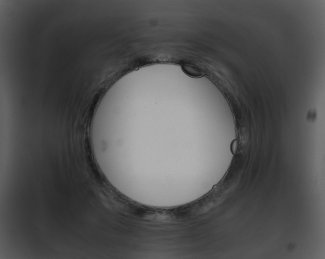 X0000101960503200807180706