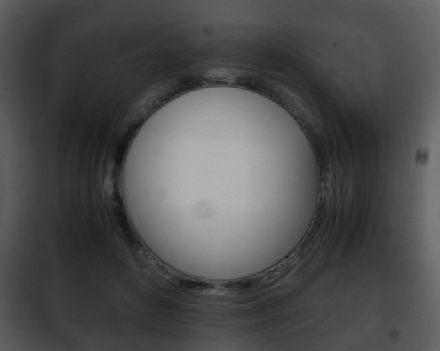 X0000101960504200807180706