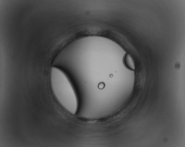X0000101960505200807180706