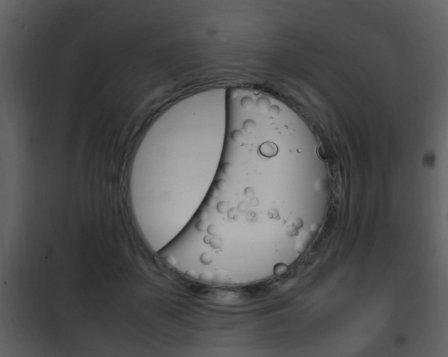 X0000101960507200807180706