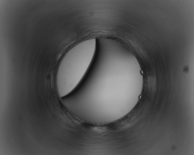 X0000101960508200807180706