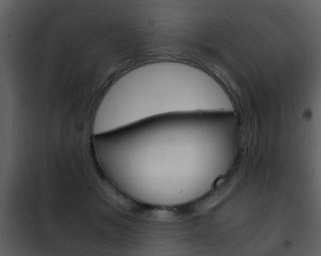X0000101960509200807180706