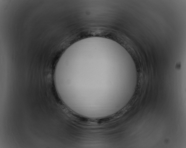 X0000101960510200807180706