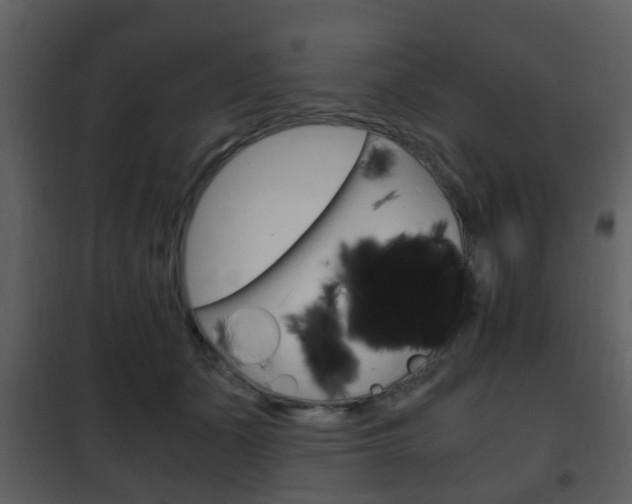 X0000101960511200807180706