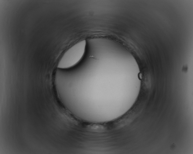 X0000101960512200807180706