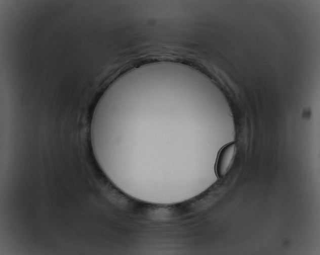 X0000101960513200807180706