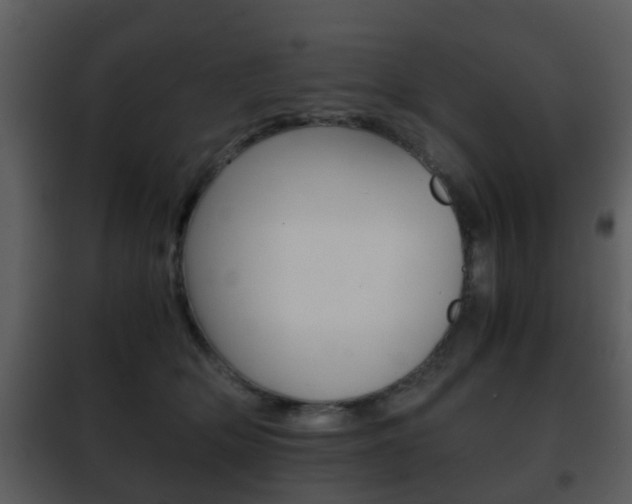 X0000101960514200807180706