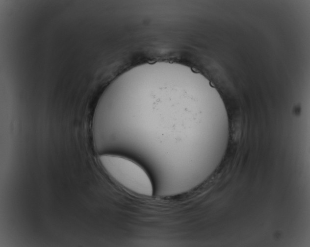 X0000101960515200807180706