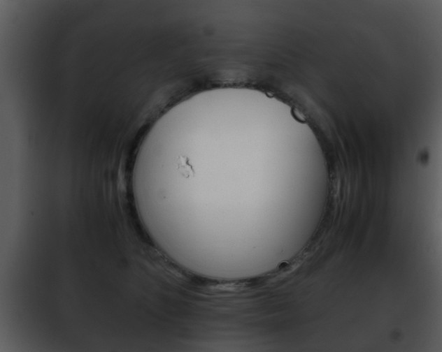 X0000101960516200807180706