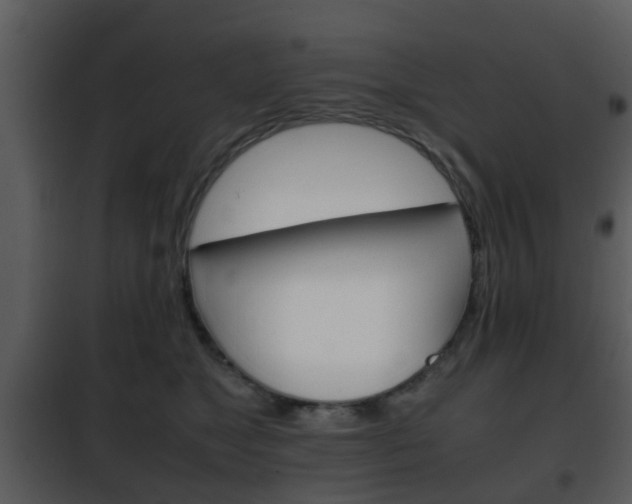 X0000101960517200807180706