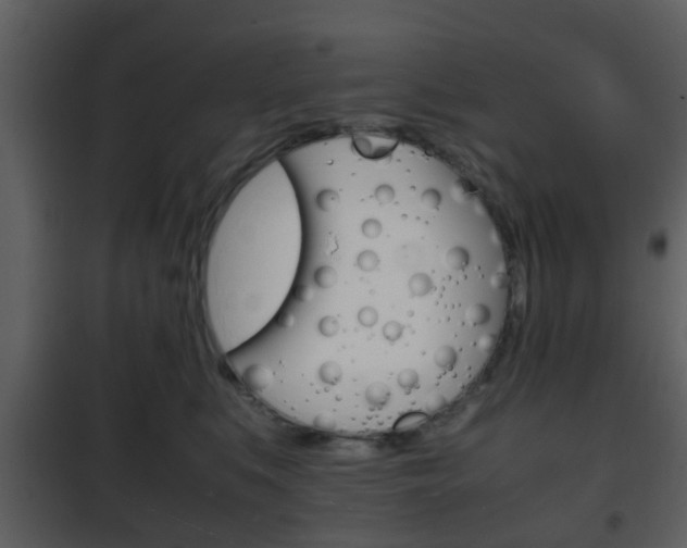 X0000101960519200807180705