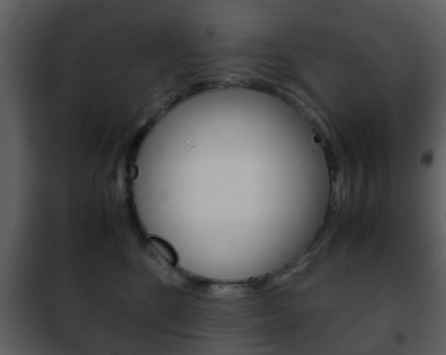 X0000101960520200807180705