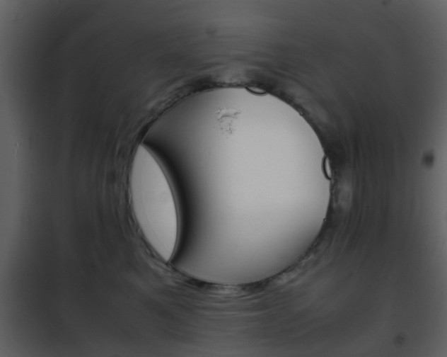 X0000101960521200807180705