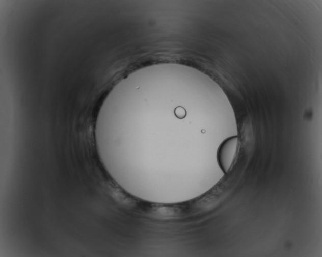 X0000101960522200807180705